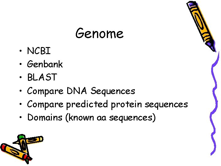 Genome • • • NCBI Genbank BLAST Compare DNA Sequences Compare predicted protein sequences Genome • • • NCBI Genbank BLAST Compare DNA Sequences Compare predicted protein sequences