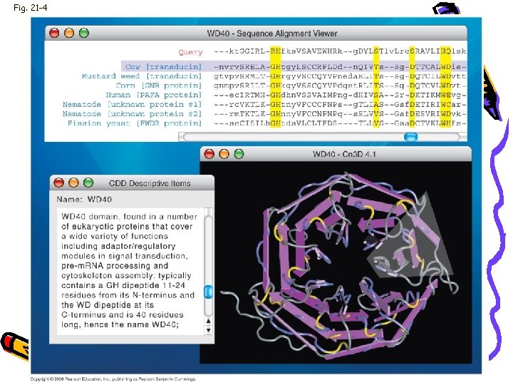 Fig. 21 -4 Fig. 21 -4