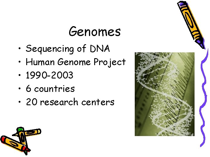 Genomes • • • Sequencing of DNA Human Genome Project 1990 -2003 6 countries