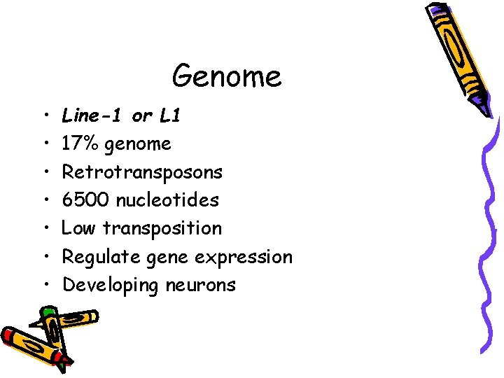 Genome • • Line-1 or L 1 17% genome Retrotransposons 6500 nucleotides Low transposition Genome • • Line-1 or L 1 17% genome Retrotransposons 6500 nucleotides Low transposition