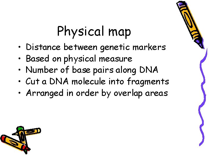 Physical map • • • Distance between genetic markers Based on physical measure Number