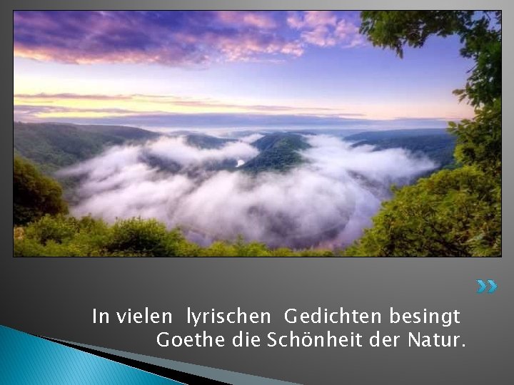 In vielen lyrischen Gedichten besingt Goethe die Schönheit der Natur. 