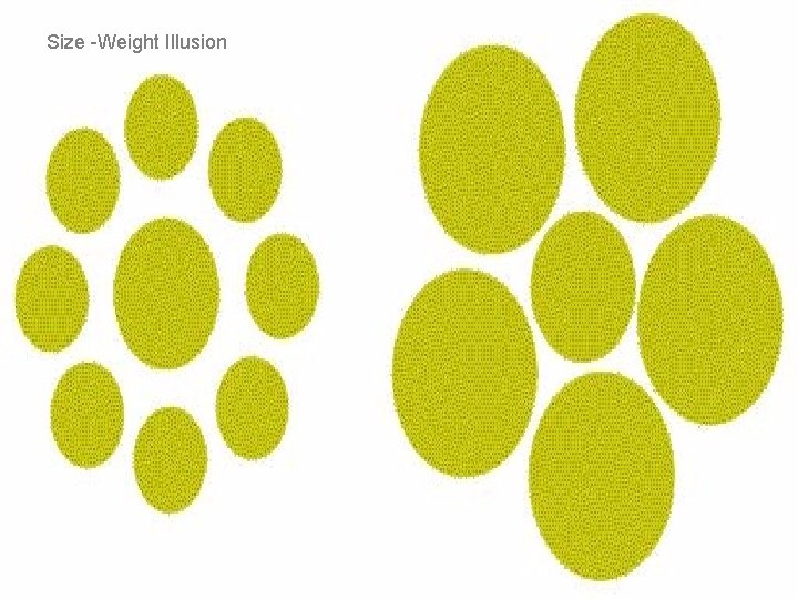 Size -Weight Illusion Psych 101 Chapter 4 23 
