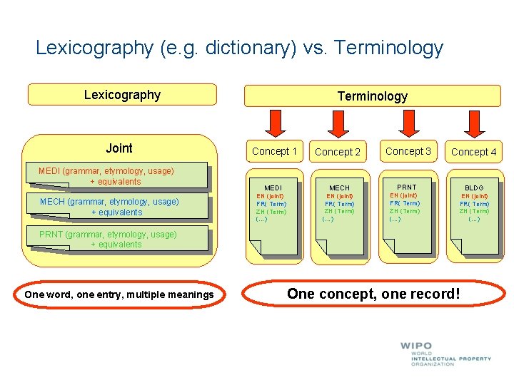 Lexicography (e. g. dictionary) vs. Terminology Lexicography Joint MEDI (grammar, etymology, usage) + equivalents