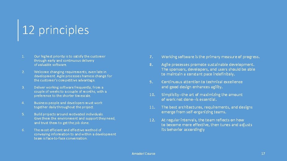 12 principles 7. Working software is the primary measure of progress. 8. Agile processes