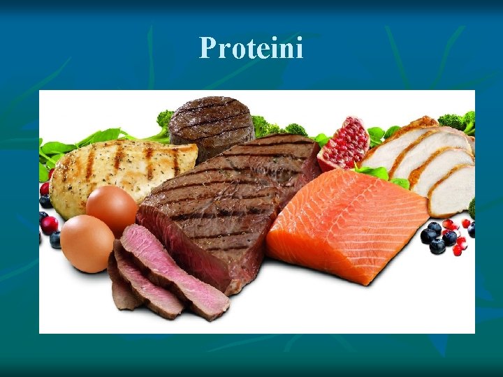 Proteini Proteini