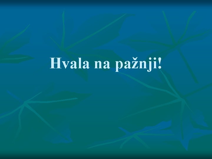 Hvala na pažnji! Hvala na pažnji!