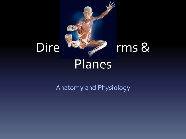 Directional Terms & Planes Anatomy and Physiology 