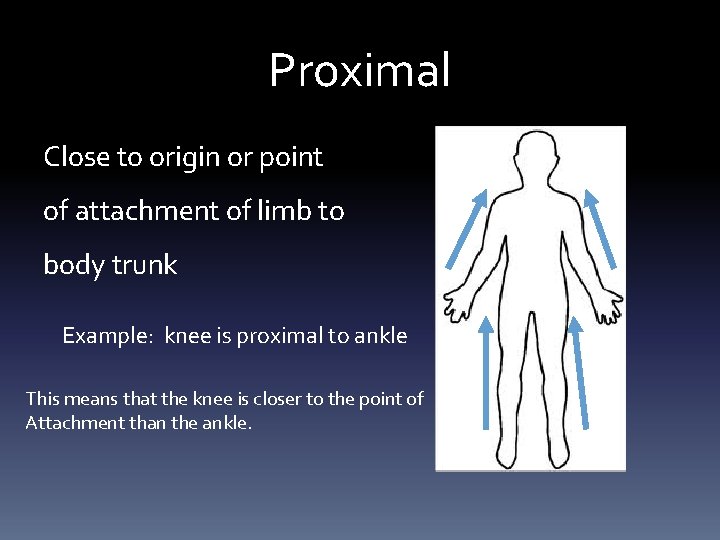 Proximal Close to origin or point of attachment of limb to body trunk Example:
