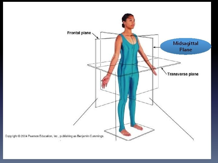 Midsagittal Plane 