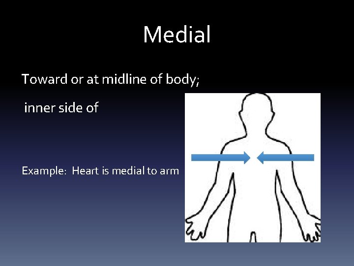 Medial Toward or at midline of body; inner side of Example: Heart is medial