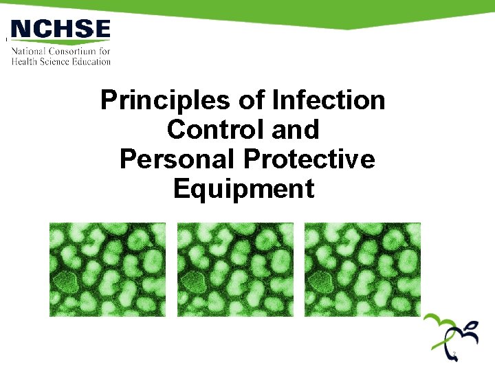 Principles of Infection Control and Personal Protective Equipment 2 