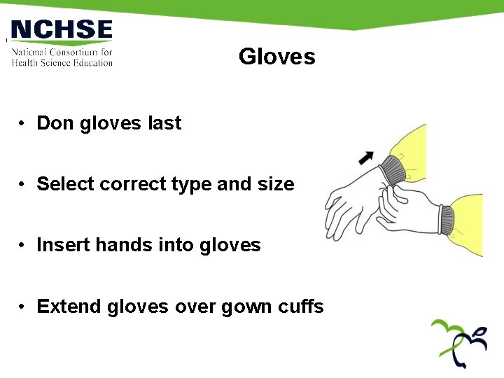 Gloves • Don gloves last • Select correct type and size • Insert hands