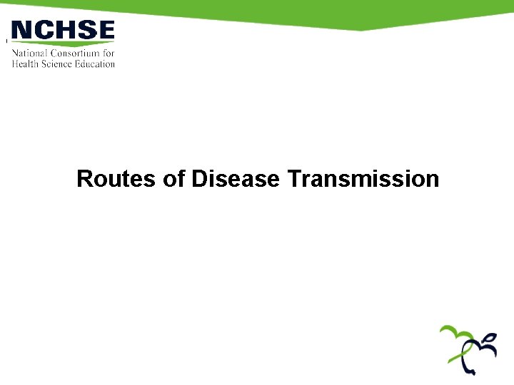Routes of Disease Transmission 