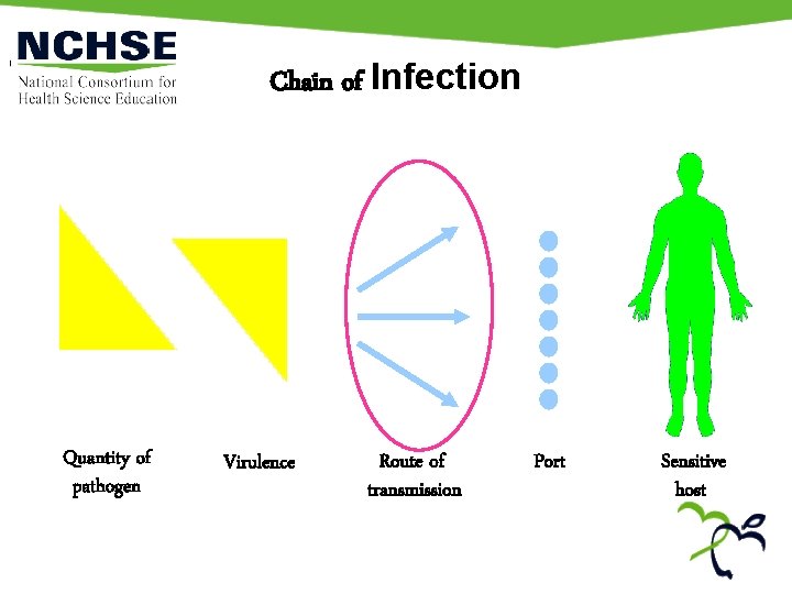 Chain of Infection + Quantity of pathogen Virulence Route of transmission Port Sensitive host