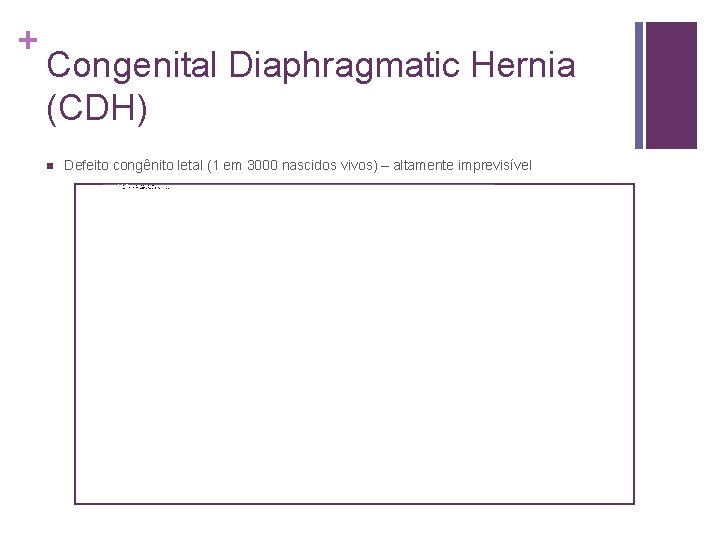 + Congenital Diaphragmatic Hernia (CDH) n Defeito congênito letal (1 em 3000 nascidos vivos)