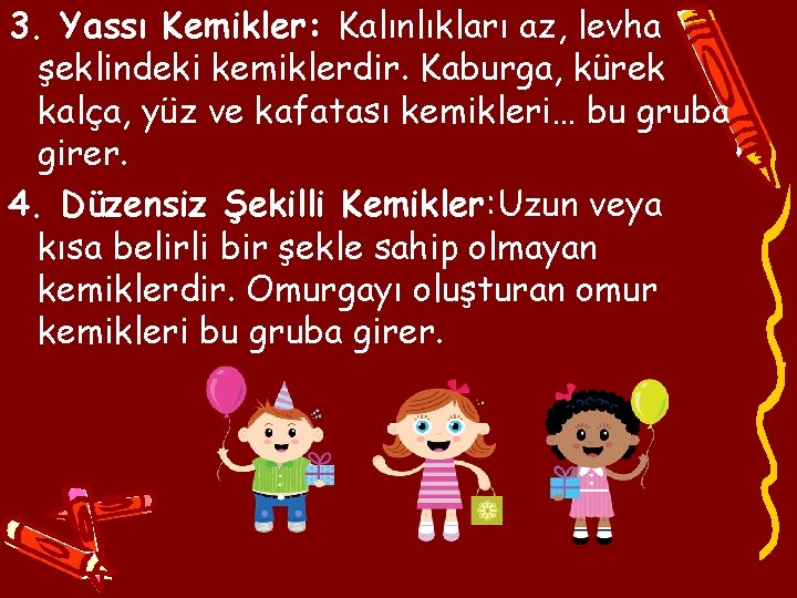 3. Yassı Kemikler: Kalınlıkları az, levha şeklindeki kemiklerdir. Kaburga, kürek kalça, yüz ve kafatası