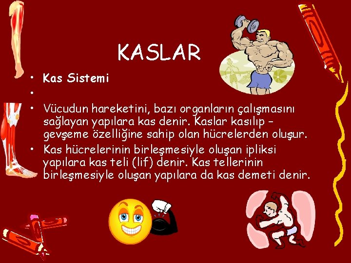 KASLAR • Kas Sistemi • • Vücudun hareketini, bazı organların çalışmasını sağlayan yapılara kas