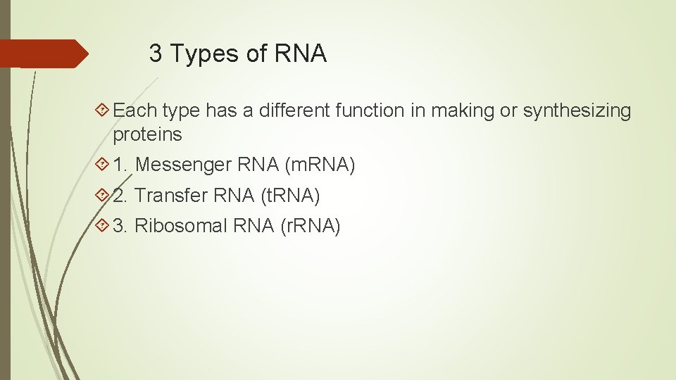 Three Rna Types Protein Synthesis Why Are Proteins Important Your body