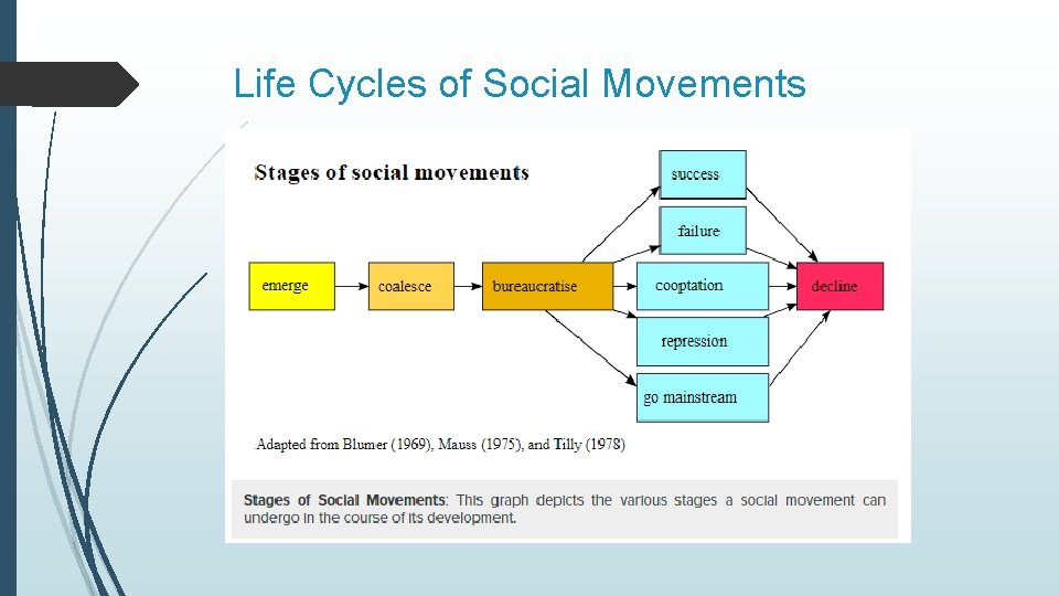 Life Cycles of Social Movements 