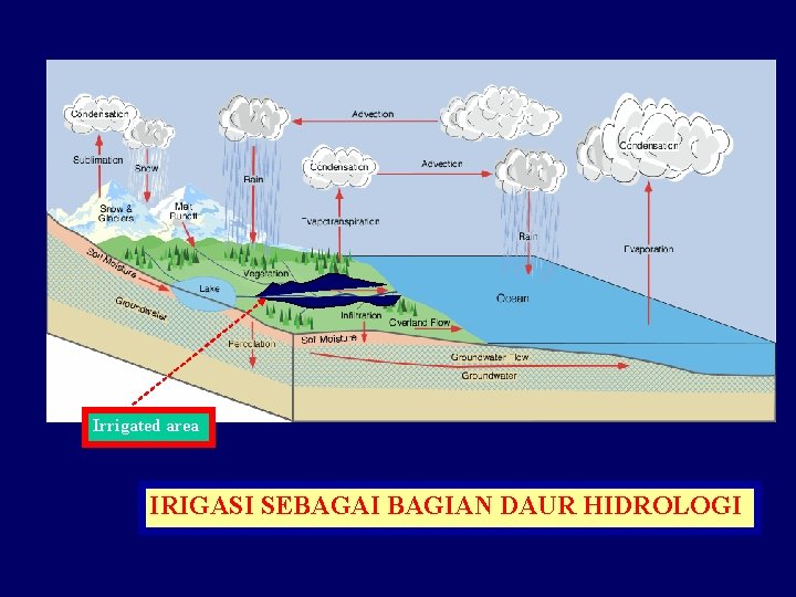 Irrigated area IRIGASI SEBAGAI BAGIAN DAUR HIDROLOGI 