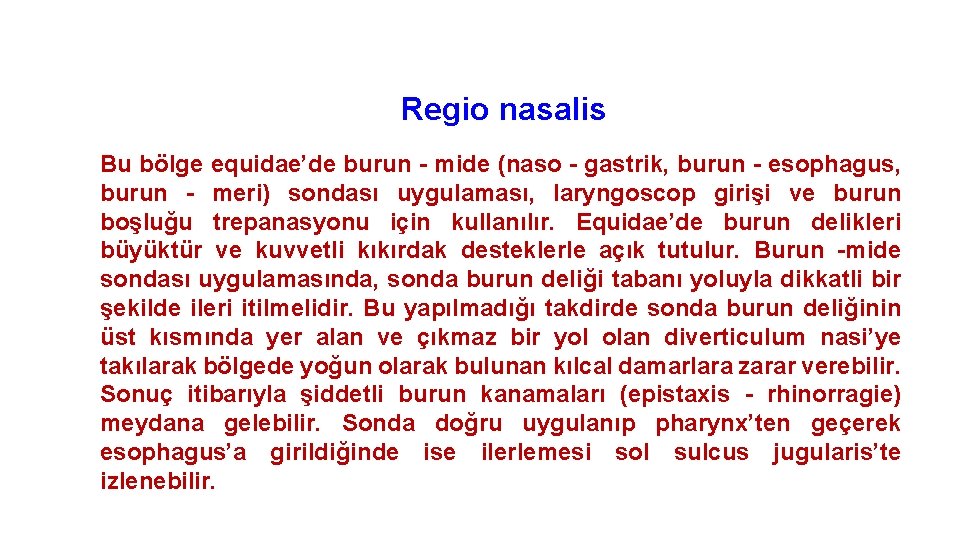 Regio nasalis Bu bölge equidae’de burun - mide (naso - gastrik, burun - esophagus,