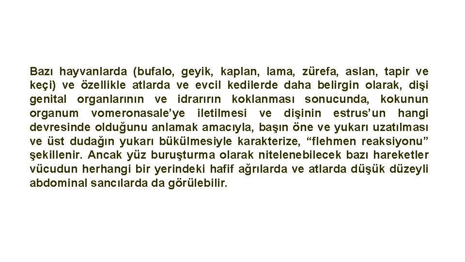 Bazı hayvanlarda (bufalo, geyik, kaplan, lama, zürefa, aslan, tapir ve keçi) ve özellikle atlarda