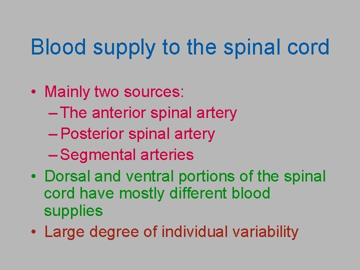 Blood supply to the spinal cord • Mainly two sources: – The anterior spinal