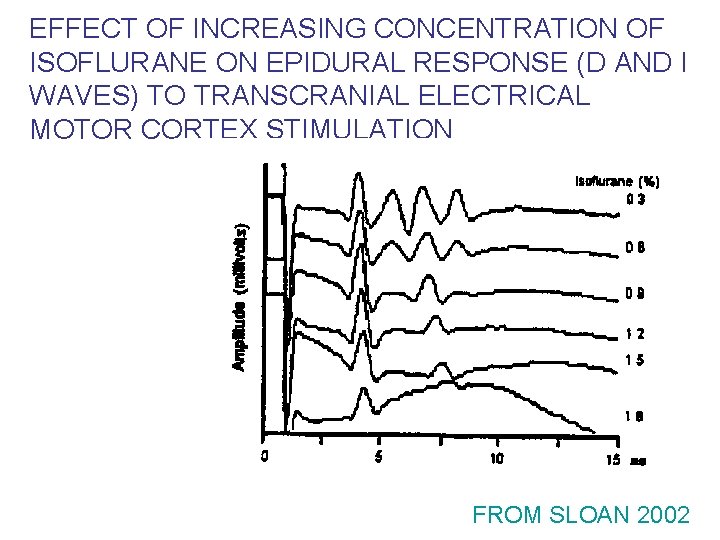 EFFECT OF INCREASING CONCENTRATION OF ISOFLURANE ON EPIDURAL RESPONSE (D AND I WAVES) TO