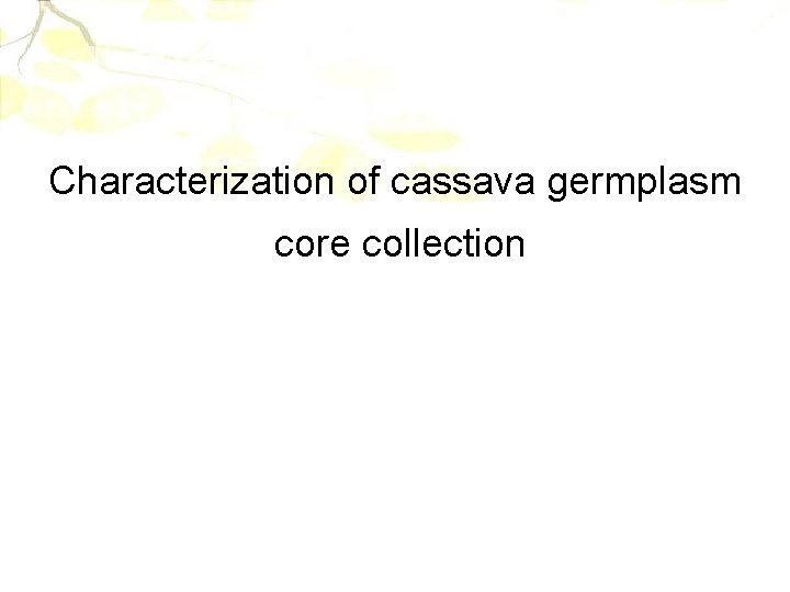 Characterization of cassava germplasm core collection 