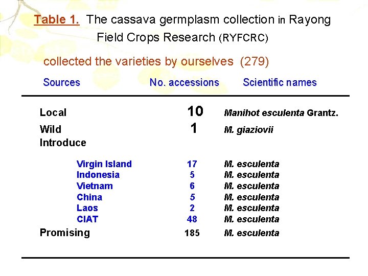 Table 1. The cassava germplasm collection in Rayong Field Crops Research (RYFCRC) collected the