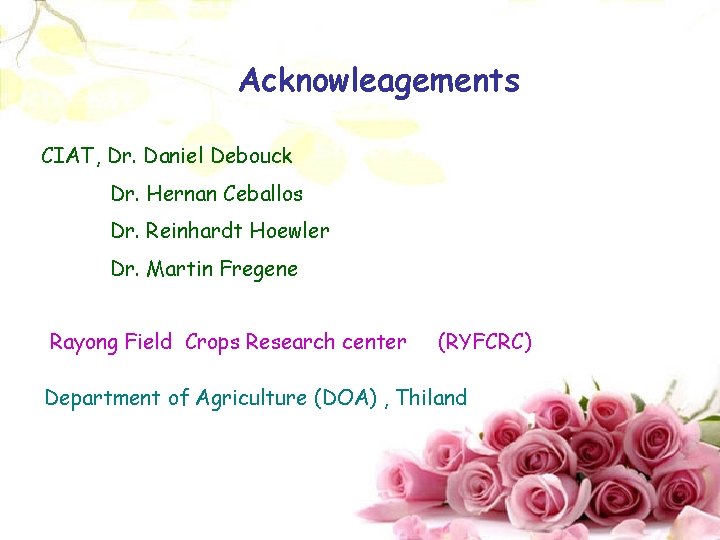 Acknowleagements CIAT, Dr. Daniel Debouck Dr. Hernan Ceballos Dr. Reinhardt Hoewler Dr. Martin Fregene