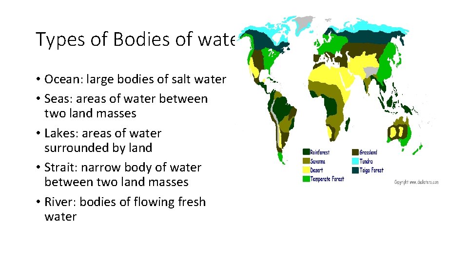 Types of Bodies of water • Ocean: large bodies of salt water • Seas: