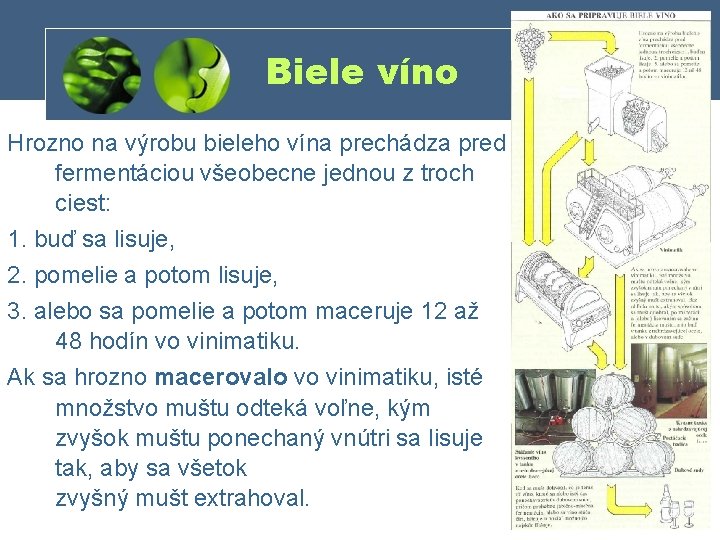 Biele víno Hrozno na výrobu bieleho vína prechádza pred fermentáciou všeobecne jednou z troch