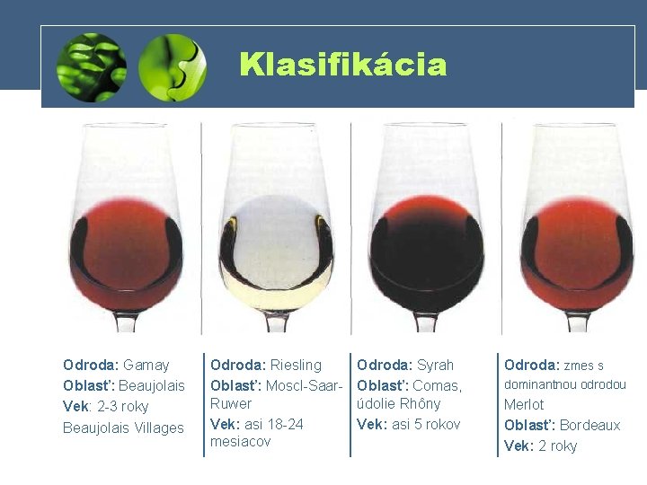 Klasifikácia Odroda: Gamay Oblasť: Beaujolais Vek: 2 3 roky Beaujolais Villages Odroda: Riesling Oblasť: