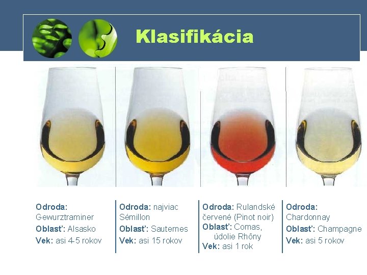 Klasifikácia Odroda: Gewurztraminer Oblasť: Alsasko Vek: asi 4 5 rokov Odroda: najviac Sémillon Oblasť: