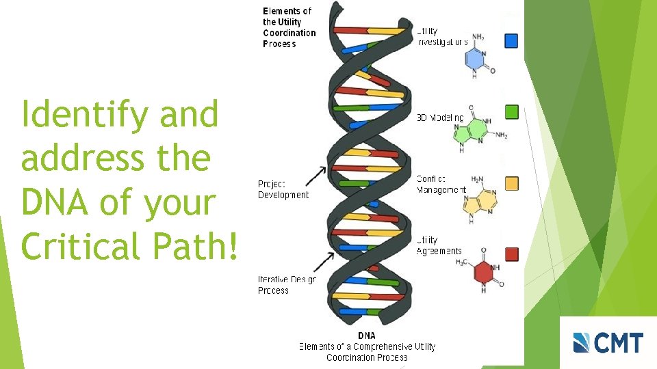 Identify and address the DNA of your Critical Path! Identify and address the DNA of your Critical Path!