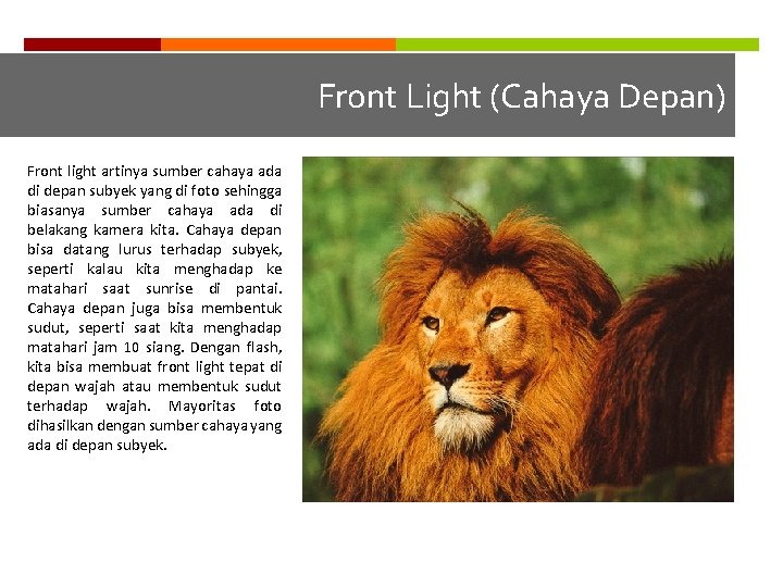 Front Light (Cahaya Depan) Front light artinya sumber cahaya ada di depan subyek yang
