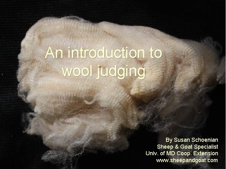 An introduction to wool judging By Susan Schoenian Sheep & Goat Specialist Univ. of