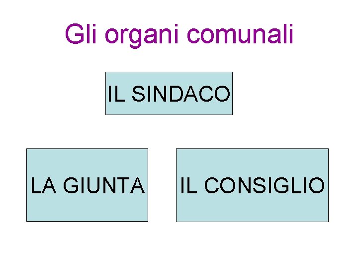 Gli organi comunali IL SINDACO LA GIUNTA IL CONSIGLIO 