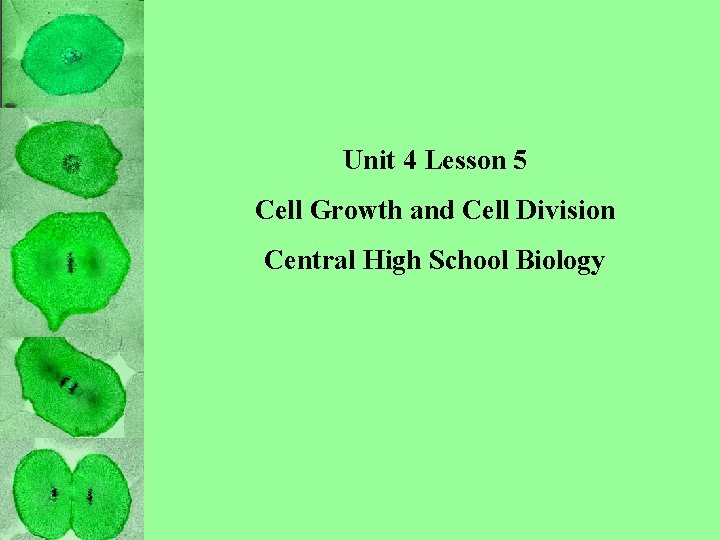 Unit 4 Lesson 5 Cell Growth and Cell
