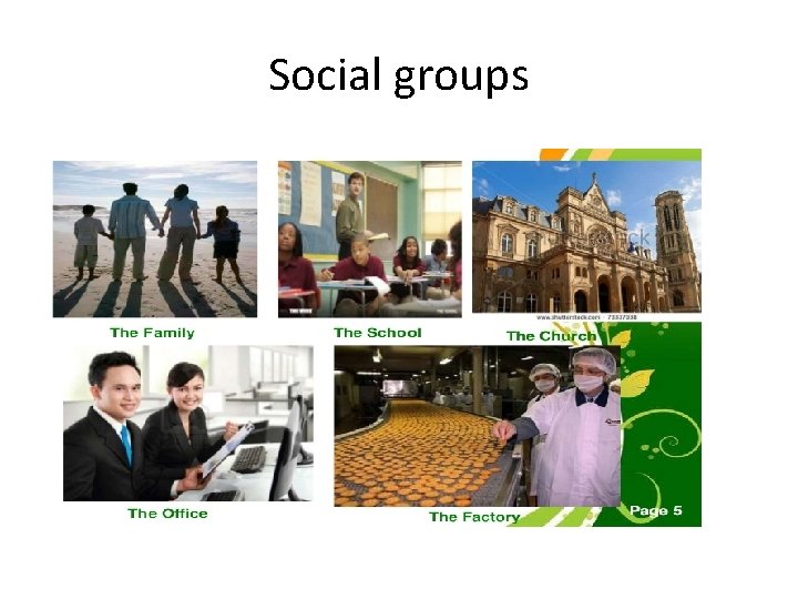 Social groups 