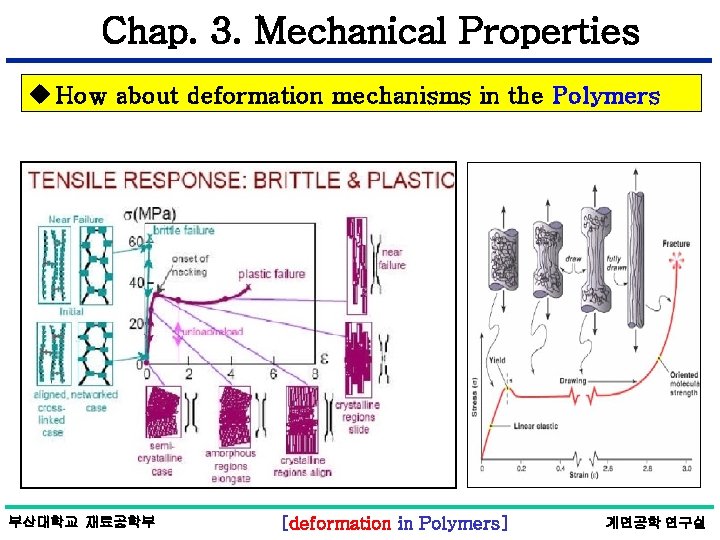 Chap. 3. Mechanical Properties u How about deformation mechanisms in the Polymers 부산대학교 재료공학부