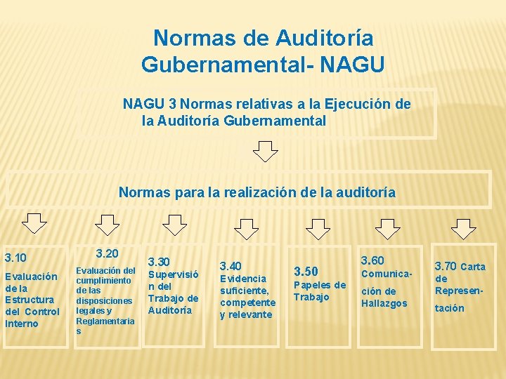 Normas de Auditoría Gubernamental- NAGU 3 Normas relativas a la Ejecución de la Auditoría