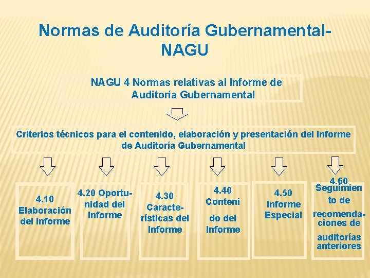 Normas de Auditoría Gubernamental. NAGU 4 Normas relativas al Informe de Auditoría Gubernamental Criterios