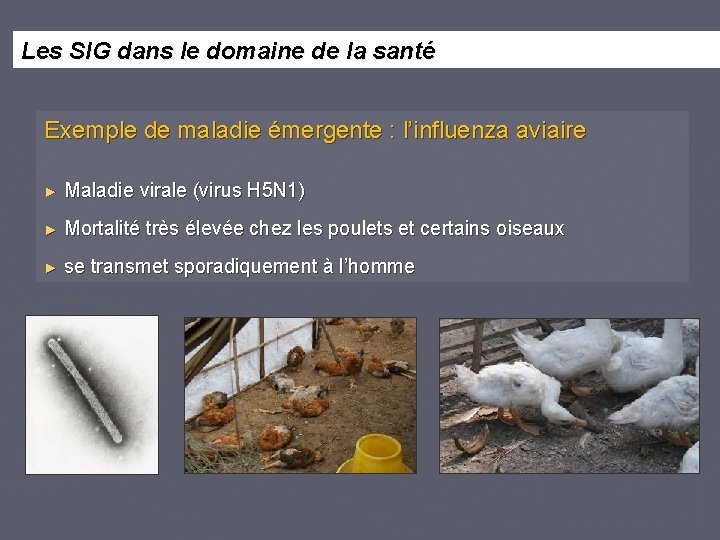 Les SIG dans le domaine de la santé Exemple de maladie émergente : l’influenza