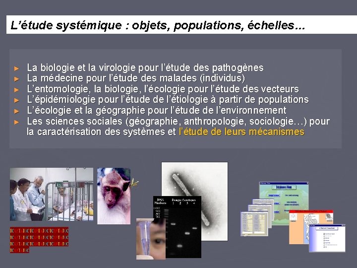 L’étude systémique : objets, populations, échelles… ► ► ► La biologie et la virologie