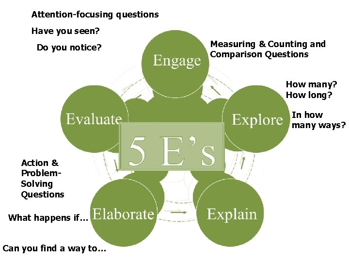 Attention-focusing questions Have you seen? Do you notice? Engage Measuring & Counting and Comparison