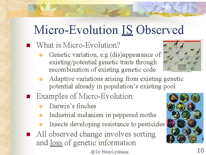 Micro-Evolution IS Observed n What is Micro-Evolution? n n n Examples of Micro-Evolution: n