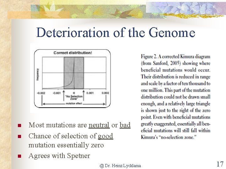 Deterioration of the Genome n n n Most mutations are neutral or bad Chance